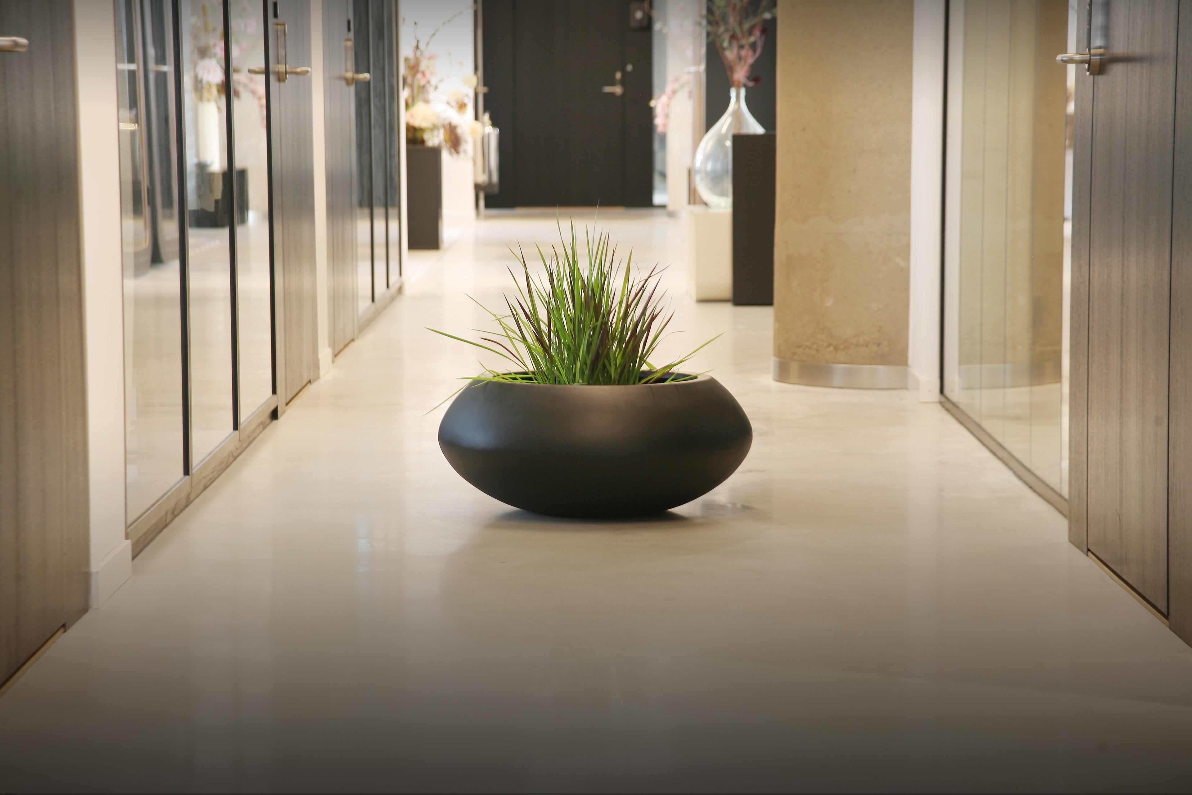 Pot of plant in the middle of hallway