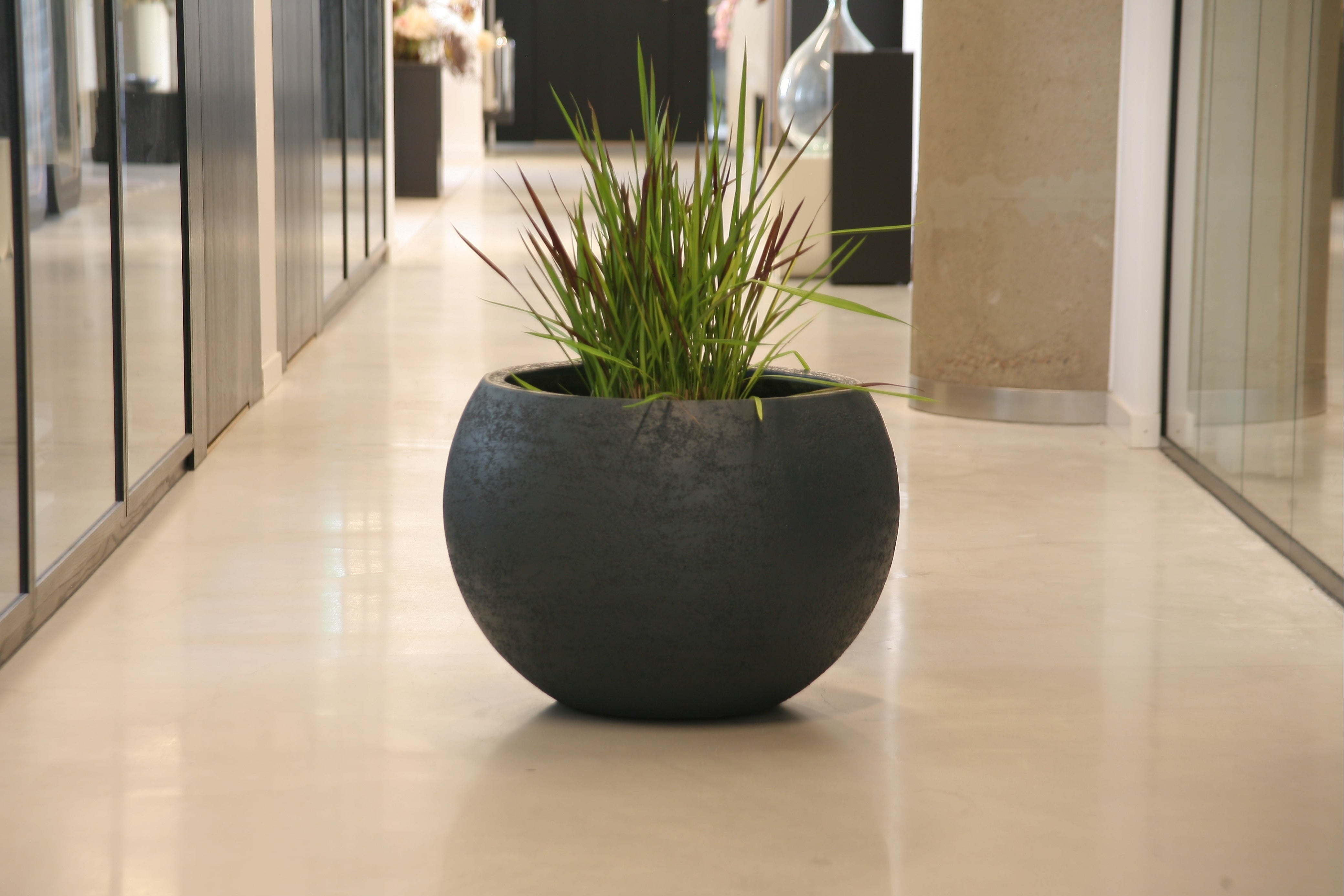 Pot of plant in the middle of hotel hallway