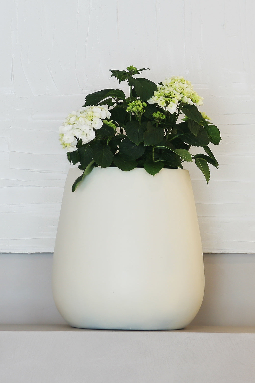 Kruka - Forma Vase - SIGNUM