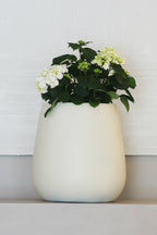 Kruka - Forma Vase - SIGNUM